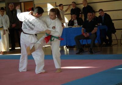 Ii Nemzetkozi Onvedelmi Kupa 2014 20