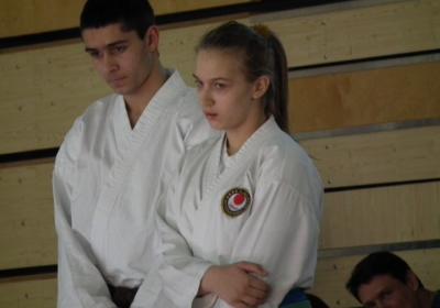 Ii Nemzetkozi Onvedelmi Kupa 2014 29