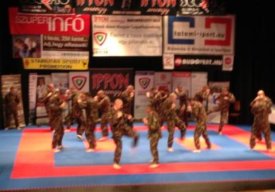  Ippon Energy Harcmuveszeti Gala 10