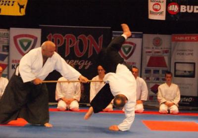  Ippon Energy Harcmuveszeti Gala 12