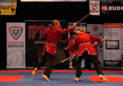 Ippon Energy Harcmuveszeti Gala 13