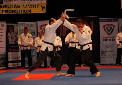  Ippon Energy Harcmuveszeti Gala 14