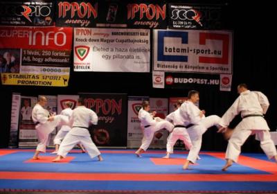  Ippon Energy Harcmuveszeti Gala 15