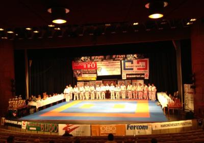  Ippon Energy Harcmuveszeti Gala 1