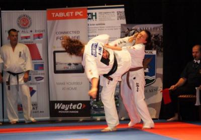  Ippon Energy Harcmuveszeti Gala 21