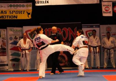  Ippon Energy Harcmuveszeti Gala 22