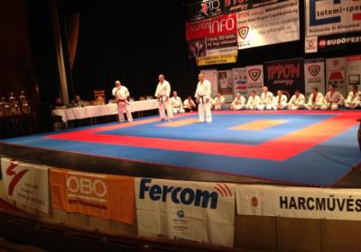  Ippon Energy Harcmuveszeti Gala 2