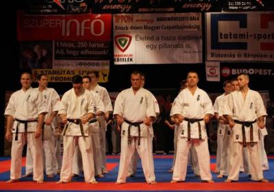  Ippon Energy Harcmuveszeti Gala 3