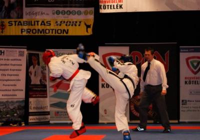  Ippon Energy Harcmuveszeti Gala 5