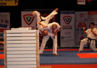  Ippon Energy Harcmuveszeti Gala 7