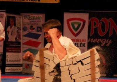  Ippon Energy Harcmuveszeti Gala 8