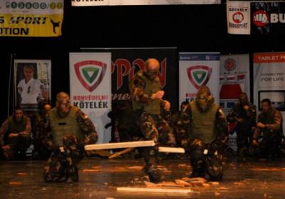  Ippon Energy Harcmuveszeti Gala 9