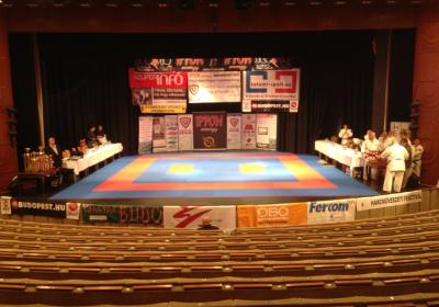 Ippon Energy Harcmuveszeti Gala